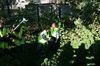 gal/Ville_Propre/_thb_OPERATION DECHETS LAMBRES 055.JPG